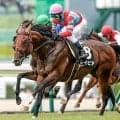 【AI予想・スプリンターズS】前走で好走した馬を素直に評価！ 混戦模様の秋のGI開幕戦で人工知能が注目する3頭とは
