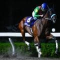 【浦和・オーバルスプリント結果】タガノミストが3連勝で重賞連勝を飾る