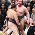朝乃山、２場所連続勝ち越しも「満足しないように」キッパリ　12日目は美ノ海と３敗対決