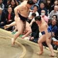 浅香山審判部長が大の里の強さを絶賛「強い相撲が戻ってきている。今日は圧倒的」