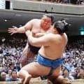 美ノ海が勝ち越し「力がついてきた感覚」33歳で成長に手応え、首位の大の里を２差で追う