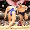 大の里が圧勝、八角理事長「これが普通」…藤ノ川を下し、独走態勢に入った横綱の落ち着きを評価「普通にやれば大丈夫」