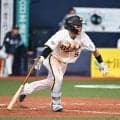 【オリックス】投打生え抜きの西野真弘、山田修義が球団に今季限りでの現役引退を申し入れ