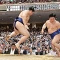 大の里　藤ノ川を初撃破　寄り切り完勝「好きなことさせないように」　１年ぶりＶに前進「最後までやるべきことを」