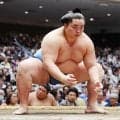 琴勝峰が12日目休場…前日に“KO負け”あごに相手の頭が直撃、背中から土俵に崩れ落ちる