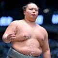 幕内・琴勝峰が休場　１１日目の取組で相手の頭が顎に当たり、土俵に崩れ落ちる