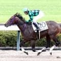【注目馬動向】新馬戦を圧勝のポッドビートは引き続き武豊騎手とのコンビでなでしこ賞へ