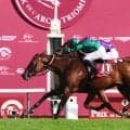 １０月４日当日に凱旋門賞ＰＶを東京競馬場で開催　日本勢からはメイショウタバルとアドマイヤテラが参戦