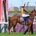 【スプリンターズS出走馬・騎手確定】スターアニス＆C.ルメール騎手、フリッカージャブ＆西村淳也騎手など16頭