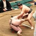 青森出身の西幕下１４枚目・長内が勝ち越し４勝２敗　「もう１番ある。最低５勝したい」