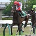 【シリウスS出走馬・騎手確定】ラムジェット＆三浦皇成騎手、ダイシンピスケス＆松本大輝騎手など16頭