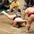 十両の友風が２場所連続の負け越し　御嶽海の引き落としに８敗目
