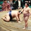 関取最軽量の炎鵬が最重量の一意に勝利　95キロの体重差に「恐怖心と戦いました」と苦笑い