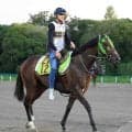 【ＰＯＧ】荻野極騎手「これは走ると思います」　近親にはＧ１馬ズラリ　ユーサイコーが初戦からスピードを見せつける