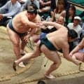 41歳玉鷲が歴代７位９１４勝「安心してる場合じゃない」若の里に並ぶ　７連勝で勝ち越しも淡々