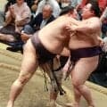 ３敗同士の対戦は朝乃山が美ノ海を破る　13日目は熱海富士と対戦