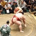 大の里が１敗で単独首位堅持　２５日にも１年ぶりの優勝決定　追う３敗は安青錦、藤ノ川ら３人に　熱海富士は大関昇進へ厳しい４敗目…１２日目まとめ