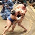 霧島が６敗目で、勝ち越し危機　過去３戦全勝の藤ノ川に不覚　綱取りの場所で思わぬ苦戦