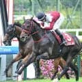 【スプリンターズS・調教後馬体重】スターアニスは488kg、フリッカージャブは508kg