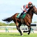 【注目馬動向・古馬】キープカルムは富士Ｓを視野　アスクセクシーモアはオクトーバーＳで復帰