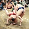 横綱大の里、自身２度目13日目Ｖあるぞ「強気な相撲を」３連敗中の難敵熱海富士下し１敗キープ