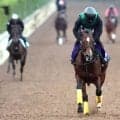 【スプリンターズＳ】昨年とは別馬！パンジャタワーが短距離王へ　陣営「普段の雰囲気が、これまでで一番いい」