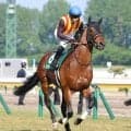 【注目馬動向】新潟大賞典４着のドゥラドーレスはアルゼンチン共和国杯で復帰へ　６月に去勢手術を行ったと発表