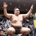 13日目に各段優勝が決まる　幕下は伊波と夢之富士が全勝対決