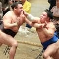 「昔の私を見てるみたい」元大関千代大海の九重親方が藤ノ川の闘志を絶賛