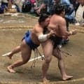 藤ノ川が霧島撃破で大関総ナメ９勝目！新三役１０勝なら平成以降１０人目、過去には大関以上がズラリ