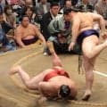 関脇・熱海富士が４敗目　支度部屋ではじだんだを踏む　場所後の大関昇進は極めて厳しい状況に