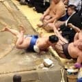 新関脇・藤ノ川が３大関総ナメで９勝目「勝ったことのない力士にも勝てるようになってきた」　４代目藤ノ川の先代師匠から受けた助言も明かす
