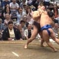 藤ノ川が「左手だけで霧島を…」驚異の逆襲で3大関総なめ「ラリアット」「腕取られたまま」圧巻光景に驚きと称賛