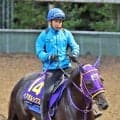 【岩田康誠の熱血！！競馬道】東京→金沢→栗東→園田→美浦…　多忙な１週間もホウオウルーレットで白山大賞典６勝目「７歳にしてドッシリ」