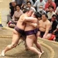 朝乃山「最後の方で取れるのは…」１３日目は再入幕後初結び前の２番に感慨…大けがで三段目転落から復活
