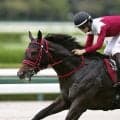 【競馬予想】スプリンターズＳ、"上がり馬"フリッカージャブの勢いはホンモノか　前哨戦は「確かに強かったが...」