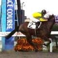 ワイルドウルルがスイートアリッサム賞を逃げ切り２戦２勝　小久保智厩舎からは２５日にフライトライン産駒ロイヤルエンペラーがデビュー