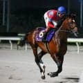 【シリウスS枠順確定】ラムジェットは7枠13番、ギュルヴィは3枠6番