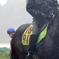 【ＰＯＧ談義】「新馬のルメールは買い！」調教動いた良血馬を“格言“も後押し　現場記者が「これは走る」と聞いた馬も初陣