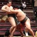 英国出身の栄誠、敗れて４勝３敗で秋場所終える   ネット上で「ディカプリオ似」に苦笑「似てない！」
