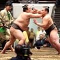 天（あまね）が序二段優勝「天にも昇る気持ちというわけでもないが勝てて良かった」