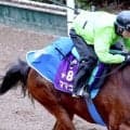 【スプリンターズＳ・金曜気配】武豊騎手で３年ぶりＶ狙うママコチャは３番枠　陣営「内枠でも立ち回れる。競馬しやすいと思います」