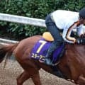 【スプリンターズＳ・金曜気配】桜花賞馬スターアニスは５枠９番　高野調教師「自信を持って送り出せます」