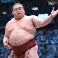 休場の幕内・隆の勝は「左足関節靱帯損傷で約１か月間の加療を要する」　日本相撲協会が診断書を公表