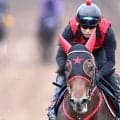 【スプリンターズＳ・金曜気配】Ｇ１初挑戦Ｖ狙うフリッカージャブは試練の８枠１５番　西園調教師「仕方ないですね…」