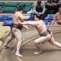 城勝雄,７戦全勝で序ノ口優勝　湊川親方独立後初の新弟子が初めて番付に載った場所で頂点に