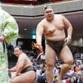 伊波が７戦全勝で幕下優勝、前夜は「夢之富士の顔がずっと出てきて」あまり眠れずも大一番制す