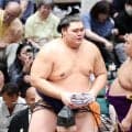 14日目の幕内後半最後の４番　狼雅－熱海富士、藤ノ川－朝乃山、安青錦－霧島、琴桜－大の里