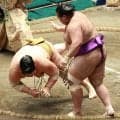 輝が流血の２敗目も「顔なんで血が出やすいだけです」ティッシュで右眉上を押さえ取材対応