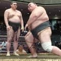 東海大柔道部出身・岡田、２場所ぶり幕下復帰も負け越し「悔しい。またやり直します」
